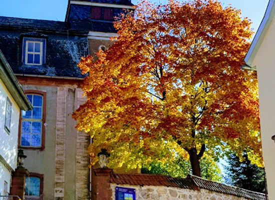 germany/thuringian-forest/attraction/deutsches-thermometermuseum-geraberg