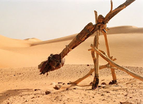 mauritania/chinguetti/attraction/batha-chinguetti