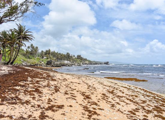barbados/south-coast/attraction/martins-bay