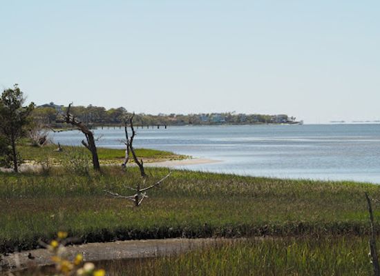 north-carolina/crystal-coast/attraction/theodore-roosevelt-natural-area