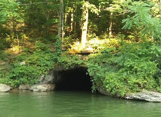 tennessee/highland-rim/attraction/pennington-cave