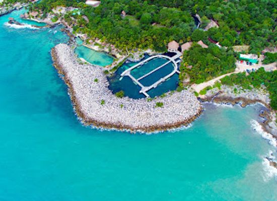 mexico/playa-del-carmen/punta-esmeralda/attraction/delphinus-riviera-maya