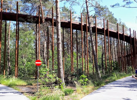 belgium/limburg/attraction/cycling-through-the-trees