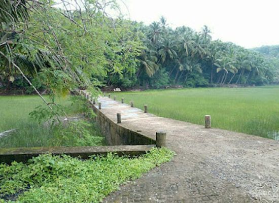 india/western-ghats/attraction/gadedhav-jetty