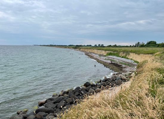 denmark/gedser-odde/attraction/gedser-fuglestation