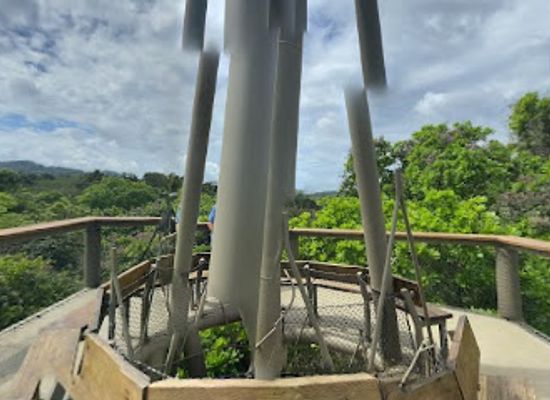 panama/gamboa/attraction/sendero-discovery