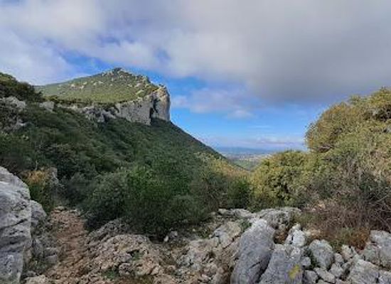 france/languedoc/attraction/pic-st-loup