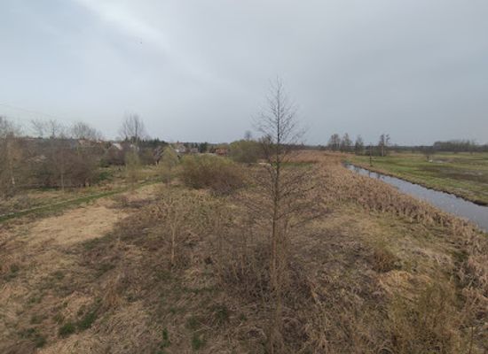 poland/białowieża-forest/attraction/bulwary-nad-narewka