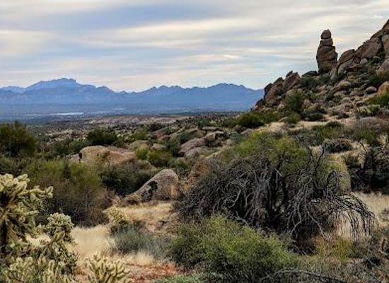 arizona/tonto-national-forest/attraction/marcus-landslide-trail