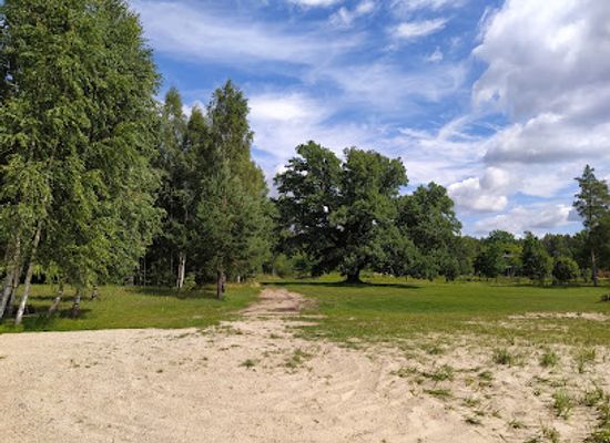 estonia/võru/attraction/roosisaare-tamm