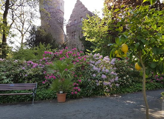 germany/hesse/attraction/giessen-botanical-garden