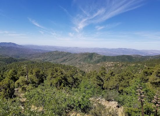 arizona/prescott-national-forest/attraction/dandrea-trail-285