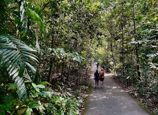 singapore/bukit-batok/attraction/bukit-timah-nature-reserve-btnr-hindhede