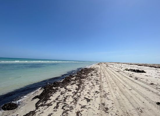 tunisia/djerba/attraction/greater-flamingo-island