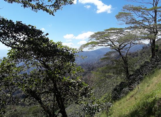 honduras/sula-valley/attraction/reserva-municipal-merendon