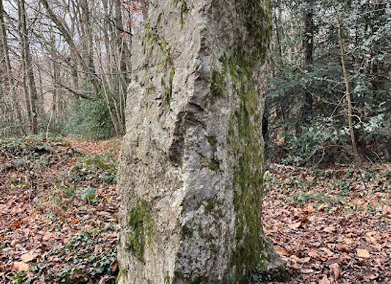 france/normandy/attraction/menhir-de-la-roche-piquee