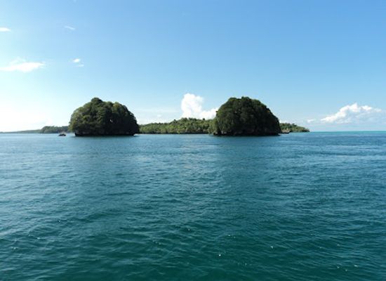 papua-new-guinea/rabaul/attraction/conflict-islands-turtle-sanctuary