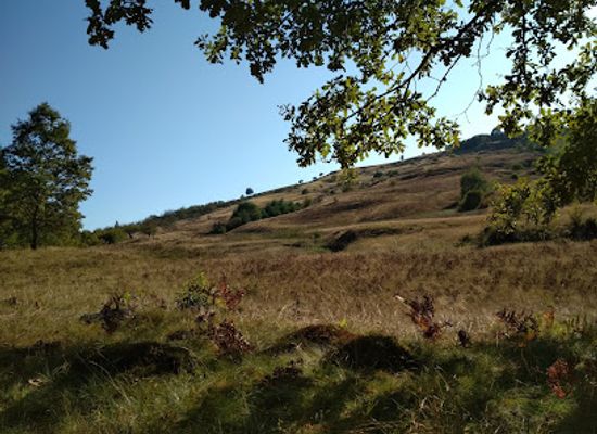 romania/maramures/attraction/padurea-craiasca