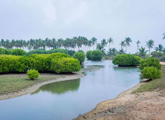 sri-lanka/kalpitiya/attraction/kudawa-natural-pool