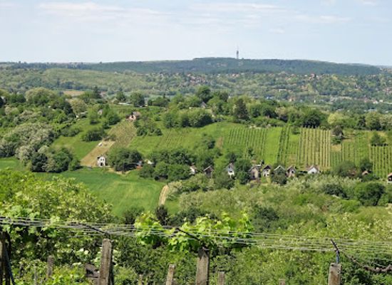 hungary/zalaegerszeg/attraction/zalaegerszeg-teteje