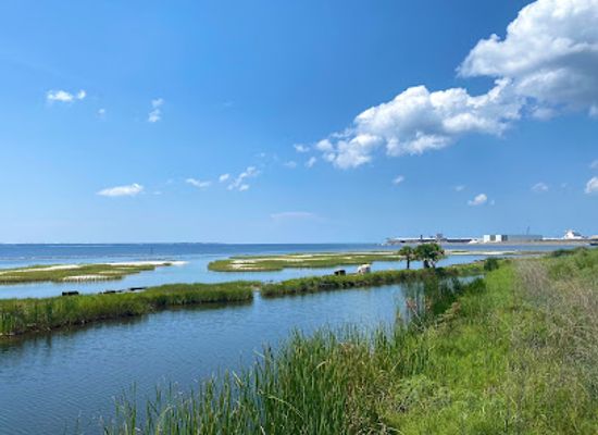 florida/pensacola/attraction/hawkshaw-lagoon-memorial-park