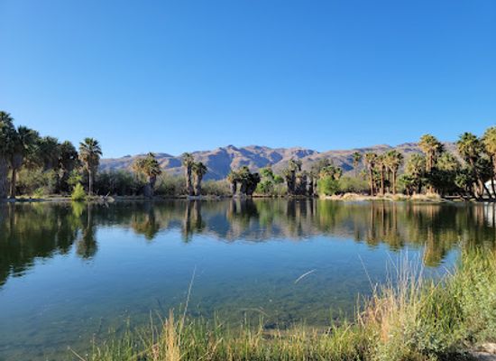 arizona/saguaro-national-park/attraction/agua-caliente-regional-park