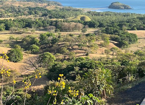 panama/las-tablas/attraction/playa-morrillo