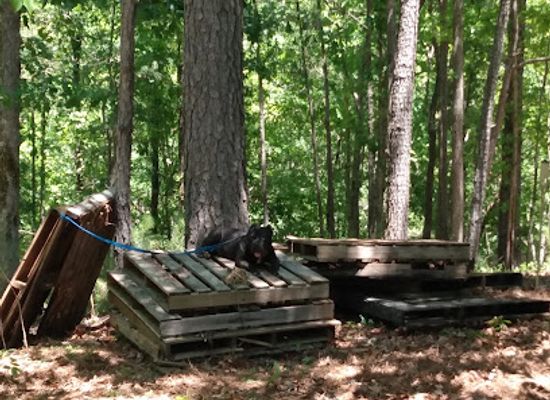 alabama/talladega-national-forest/attraction/talladega-national-forest-mann-camp