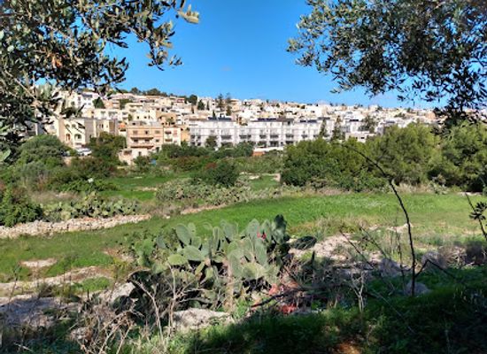 malta/marsa/attraction/wied-ghollieqa-nature-reserve