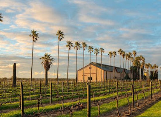 australia/barossa-valley/attraction/chateau-dorrien-winery