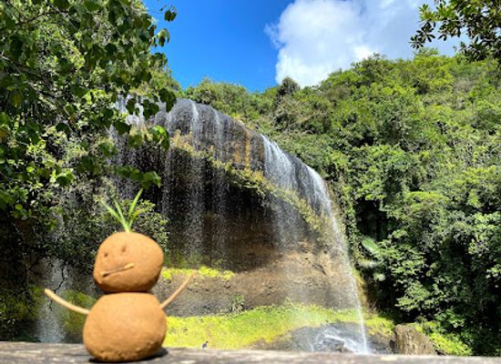 palau/tobi/attraction/ngardmau-waterfalls