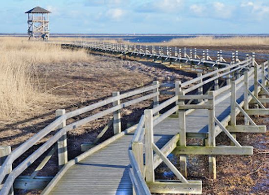 latvia/liepaja/attraction/birdwatch-tower