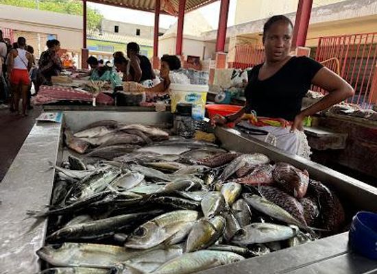 cabo-verde/praia-de-bote/attraction/mercado-de-peixe