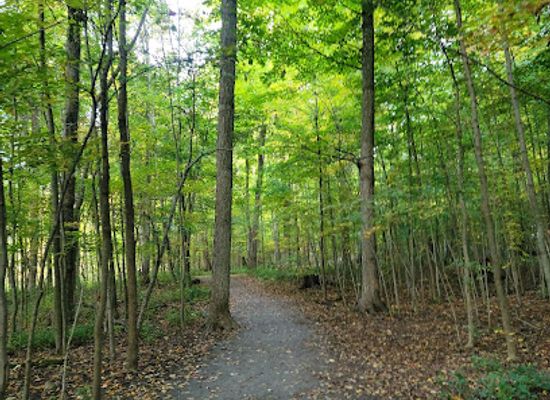 canada/kingston-and-the-islands/attraction/lemoine-point-conservation-area