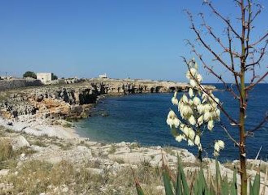 italy/apulia/attraction/ripalta