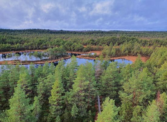 estonia/rapla-county/attraction/mukri-raba-vaatetorn