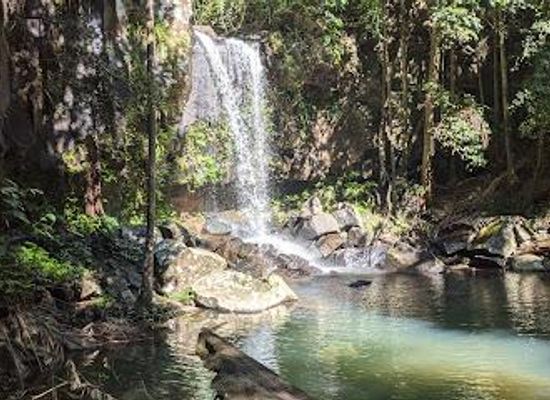 australia/brisbane/attraction/tamborine-national-park