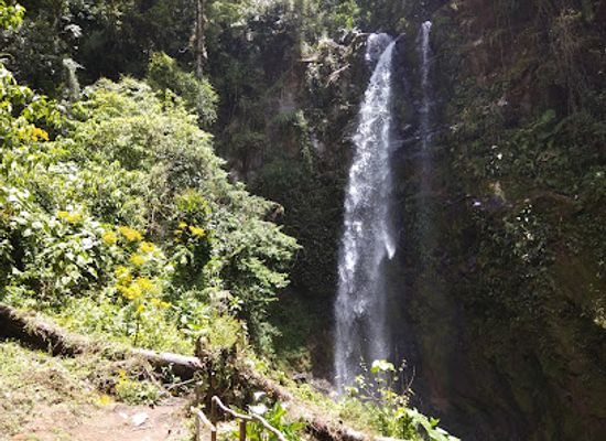 panama/david/attraction/the-lost-waterfalls-las-tres-cascadas