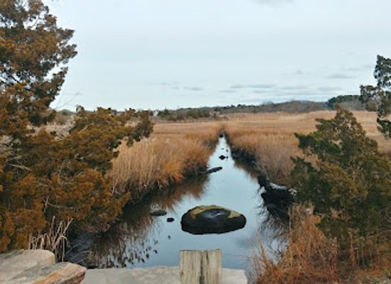 rhode-island/washington-county/attraction/avondale-farm-preserve