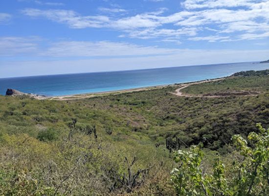 mexico/baja-california-peninsula/attraction/cabo-pulmo-national-marine-park