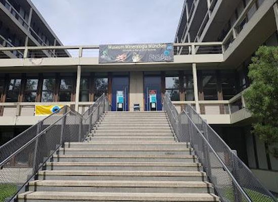 germany/munich/attraction/mineralogy-museum-munich