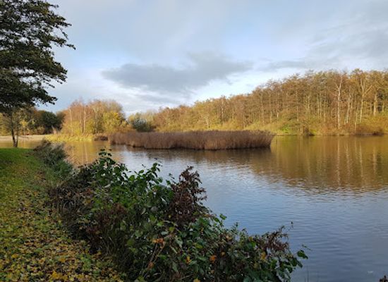 netherlands/west-friesland/attraction/ivn-west-friesland