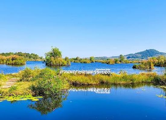 thailand/eastern-thailand/attraction/rayong-botanical-garden-aquatic-plants-and-living-collection
