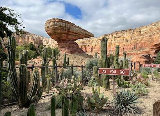 california/orange-county/attraction/radiator-springs-racers
