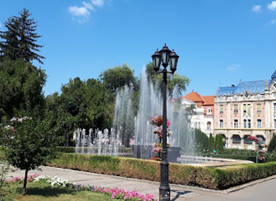 romania/satu-mare/attraction/art-museum