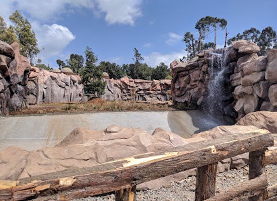 ethiopia/debre-libanos-monastery/attraction/black-lion-zoo-cave