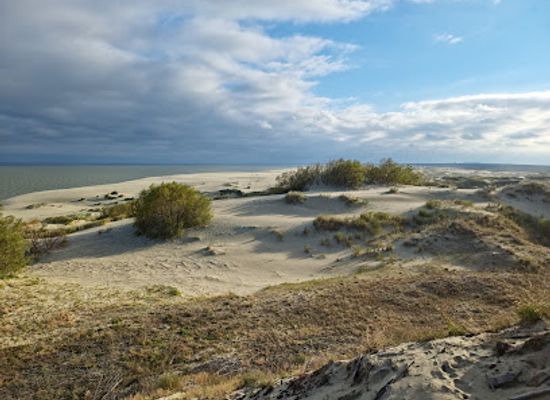 lithuania/klaipeda-region/attraction/ef-dune