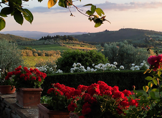 italy/chianti-classico/attraction/fattoria-casa-sola