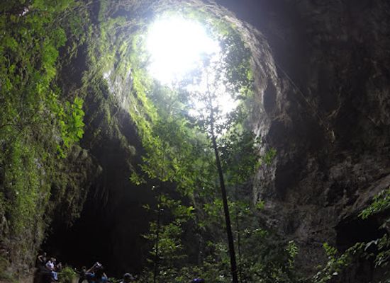 puerto-rico/arecibo-region/attraction/cavernas-del-rio-camuy-national-park