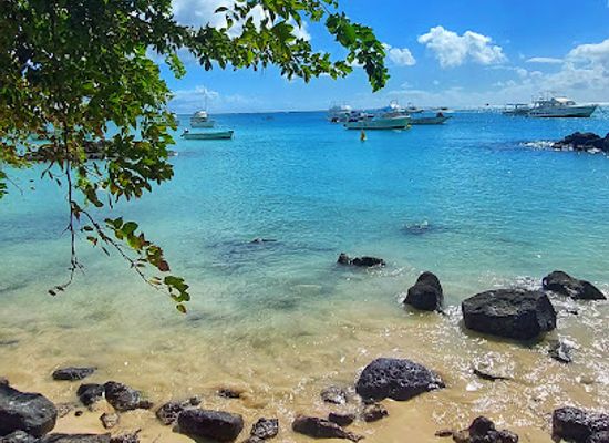 mauritius/grand-baie/attraction/casuarina-beach